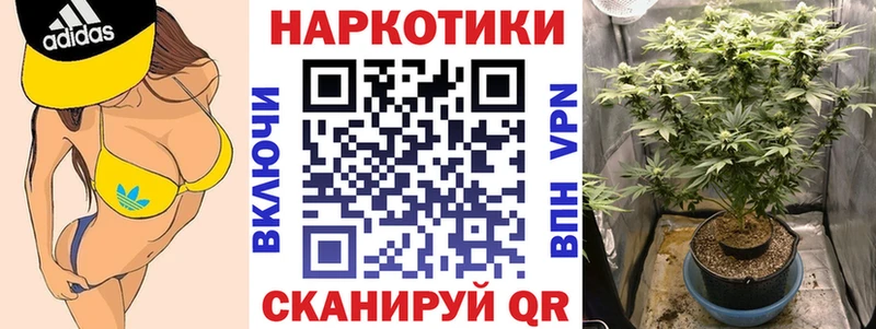 Названия наркотиков Людиново ЭКСТАЗИ  Псилоцибиновые грибы  МЕТАДОН  mega ONION  Меф мяу мяу  Гашиш  АМФ 