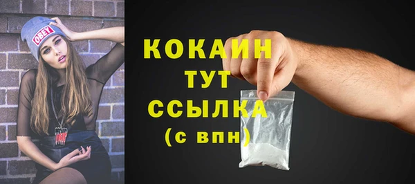 меф Бородино