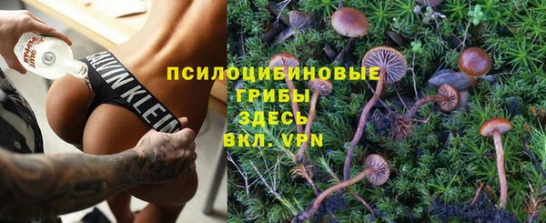 ECSTASY Верхний Тагил
